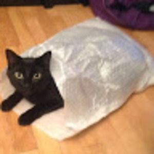 Meet your Posher, Marie